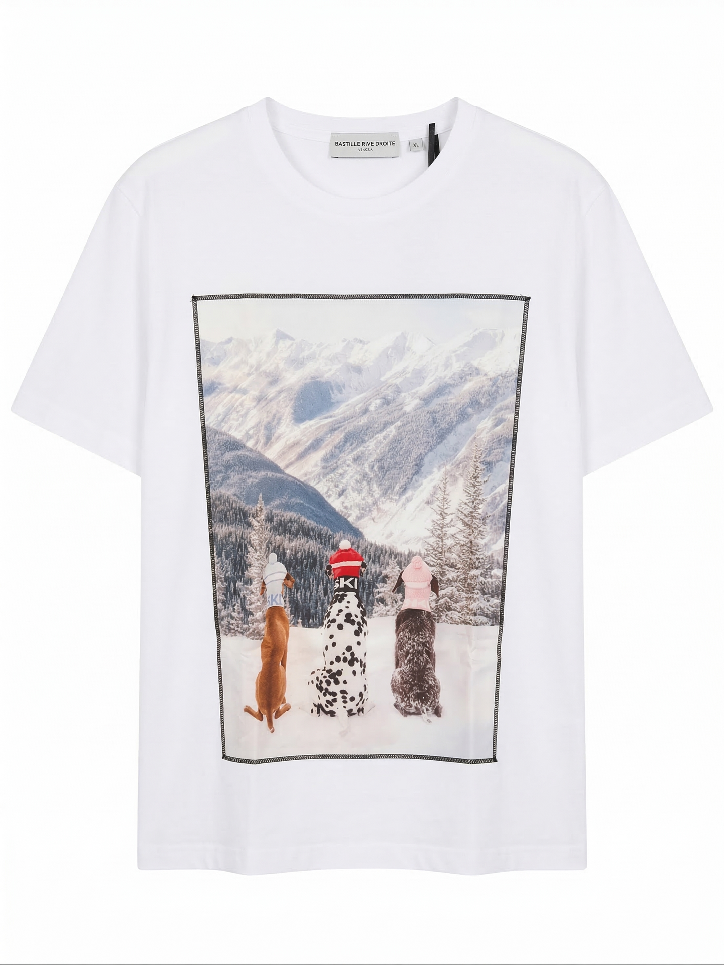 Alpine Dogs Tshirt